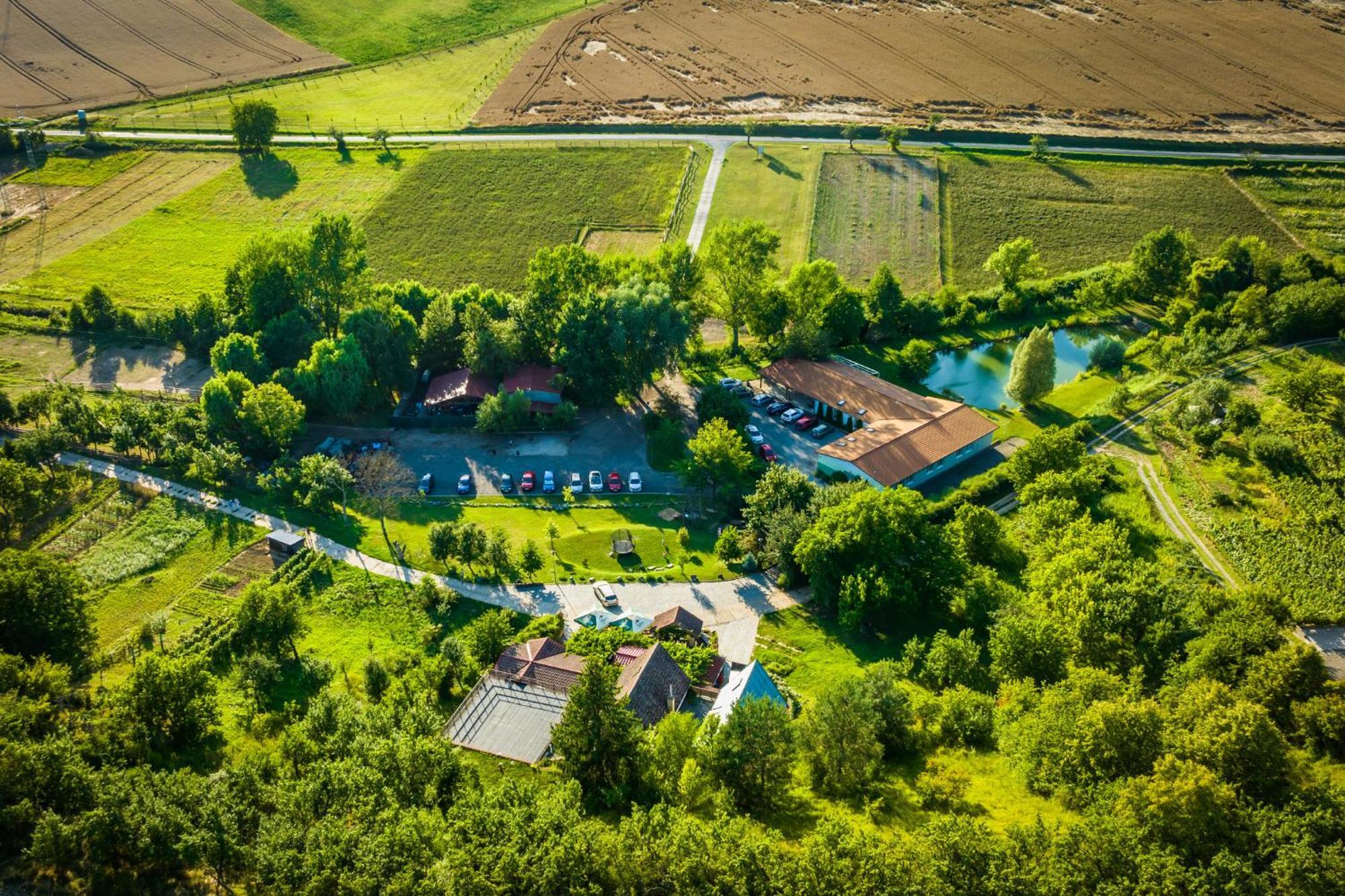 Vinny Sklep Krysa Kostelec (Hodonin) Exterior photo
